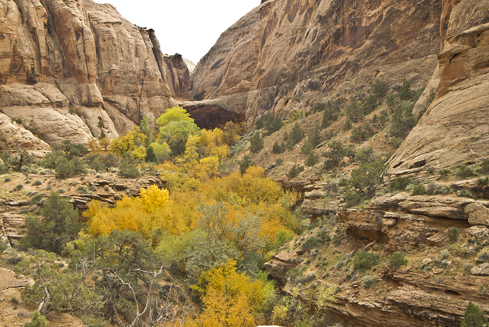 Negro Bill Canyon Trail